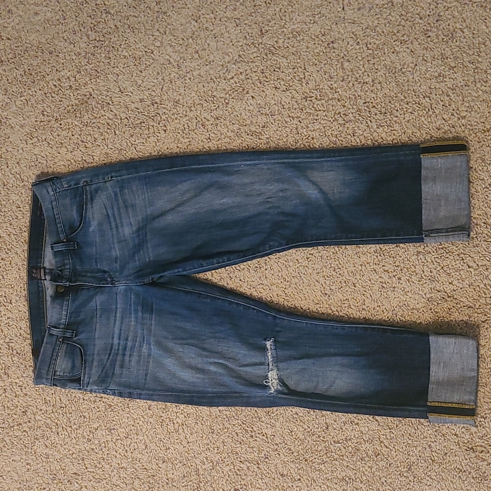 Citizens of Humanity Dani Cropped 28